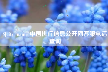 株洲中国执行信息公开网客服电话查询