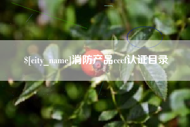 株洲消防产品cccf认证目录