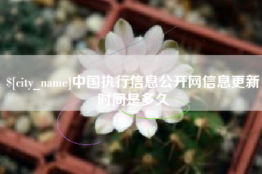株洲中国执行信息公开网信息更新时间是多久