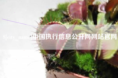 株洲中国执行信息公开网网站官网