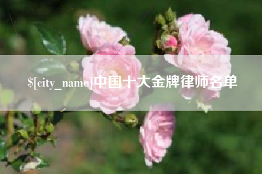株洲中国十大金牌律师名单