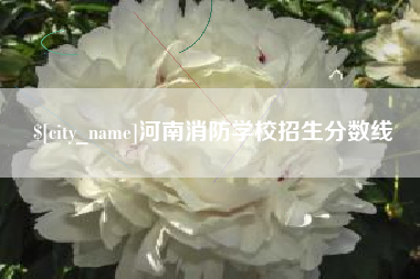 株洲河南消防学校招生分数线