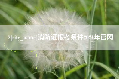 株洲消防证报考条件2024年官网