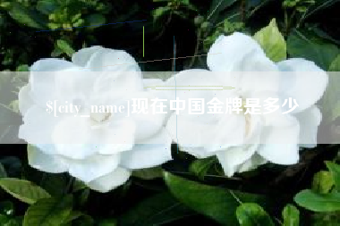 株洲现在中国金牌是多少
