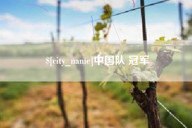 株洲中国队 冠军