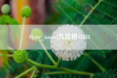 株洲九宫格42633