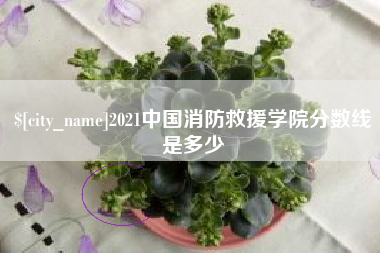 株洲2021中国消防救援学院分数线是多少