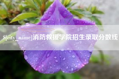 株洲消防救援学院招生录取分数线