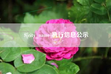 株洲执行信息公示