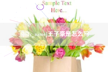 株洲王子豪是怎么写