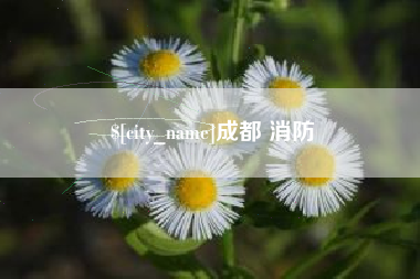 株洲成都 消防