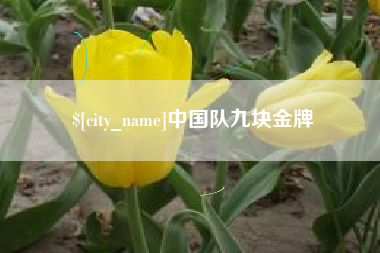 株洲中国队九块金牌