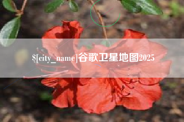 株洲谷歌卫星地图2025