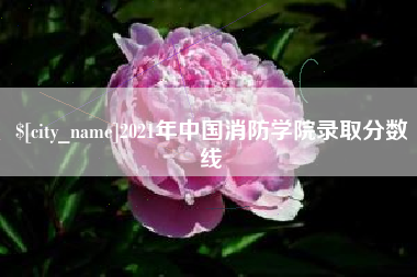 株洲2021年中国消防学院录取分数线