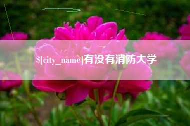株洲有没有消防大学