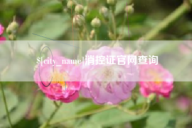 株洲消控证官网查询