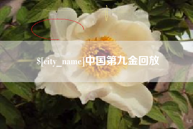 株洲中国第九金回放