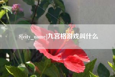 株洲九宫格游戏叫什么