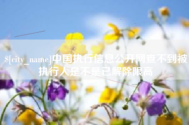 株洲中国执行信息公开网查不到被执行人是不是已解除限高