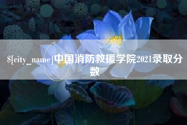 株洲中国消防救援学院2021录取分数