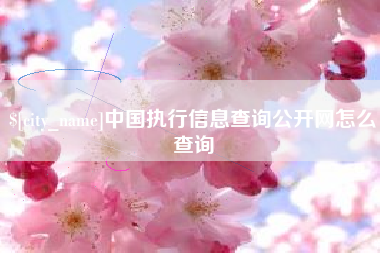 株洲中国执行信息查询公开网怎么查询