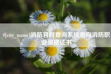 株洲消防官网查询系统查询消防职业资格证书
