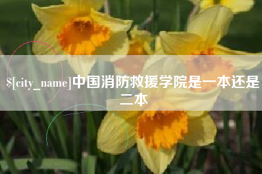 株洲中国消防救援学院是一本还是二本