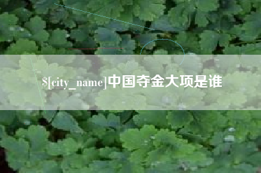 株洲中国夺金大项是谁