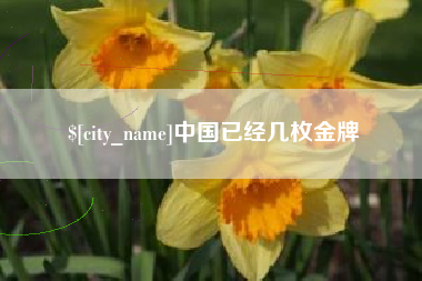 株洲中国已经几枚金牌