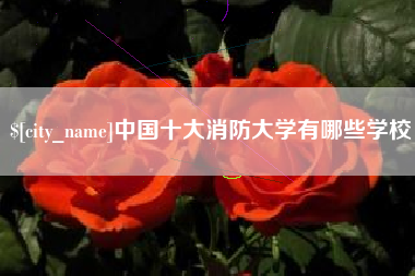 株洲中国十大消防大学有哪些学校