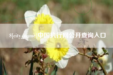 株洲中国执行网公开查询入口