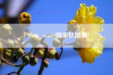 株洲国家队图案