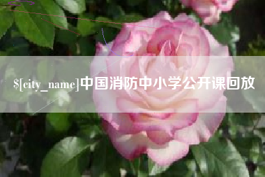 株洲中国消防中小学公开课回放