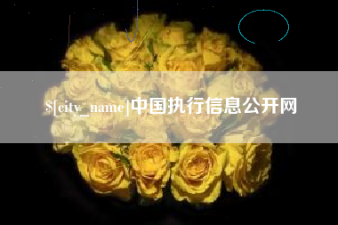 株洲中国执行信息公开网