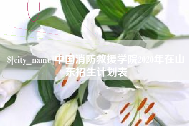 株洲中国消防救援学院2020年在山东招生计划表