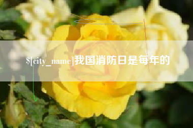 株洲我国消防日是每年的