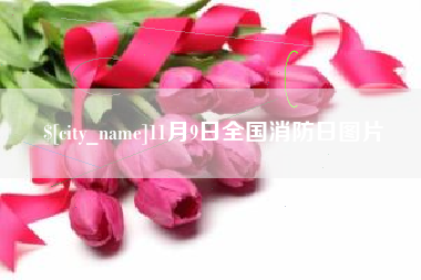 株洲11月9日全国消防日图片
