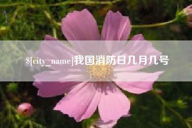 株洲我国消防日几月几号