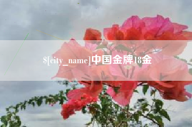 株洲中国金牌18金