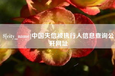 株洲中国失信被执行人信息查询公开网址