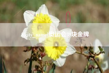 株洲奥运会39块金牌