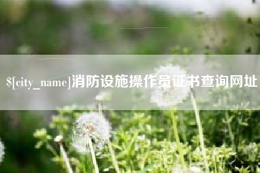 株洲消防设施操作员证书查询网址