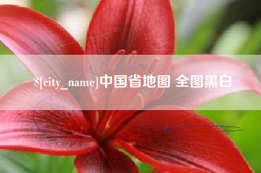株洲中国省地图 全图黑白