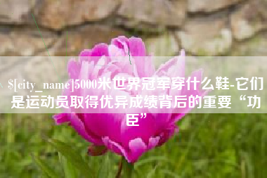 株洲5000米世界冠军穿什么鞋-它们是运动员取得优异成绩背后的重要“功臣”