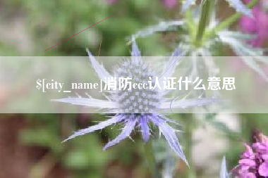 株洲消防ccc认证什么意思
