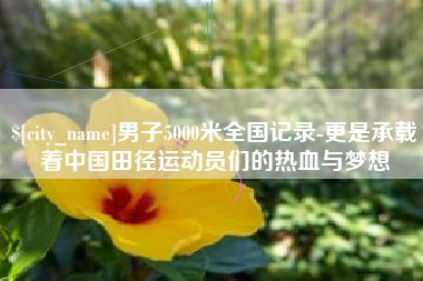 株洲男子5000米全国记录-更是承载着中国田径运动员们的热血与梦想