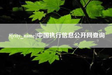 株洲中国执行信息公开网查询