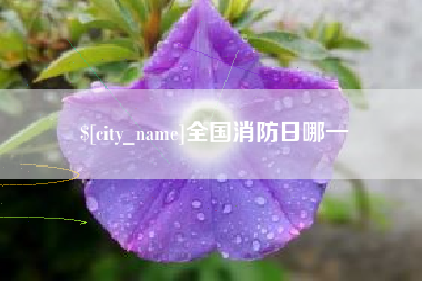 株洲全国消防日哪一