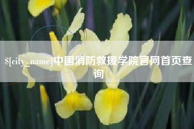 株洲中国消防救援学院官网首页查询