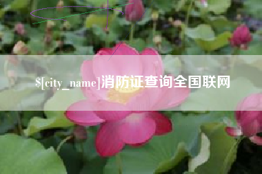 株洲消防证查询全国联网